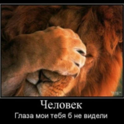 Вова Бартов