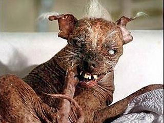 Павел Чевычелов