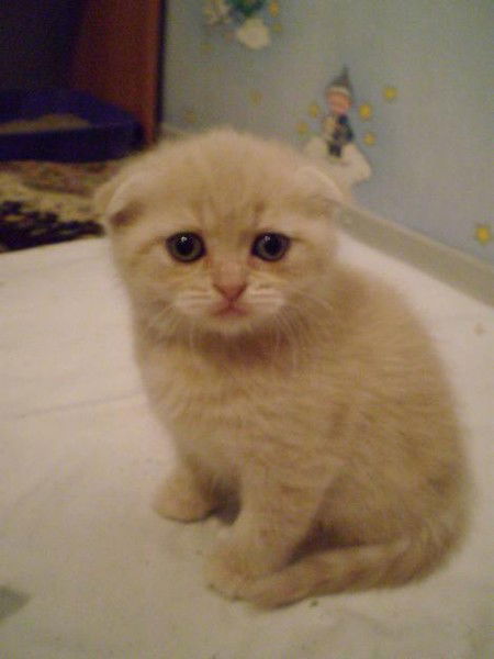 Валентина Топчевод