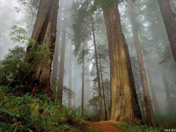 Жазира Кумисбекова