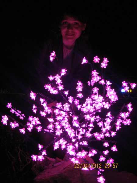 Гульназ Панаева