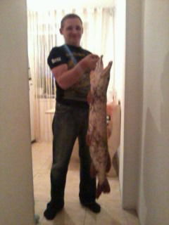 Василий Левченко