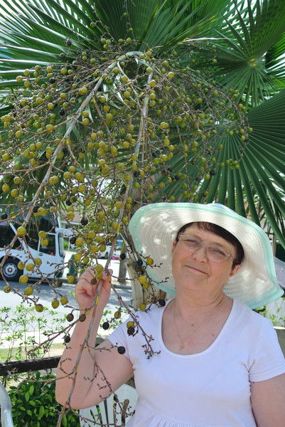 Мария Сургай