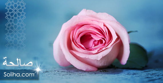 Сабрина Камалова