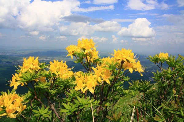 Юра Ванифатов