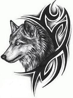 Евгений Беляев