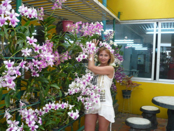 Елена Кремнёва