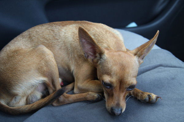 Юрий Юрченко