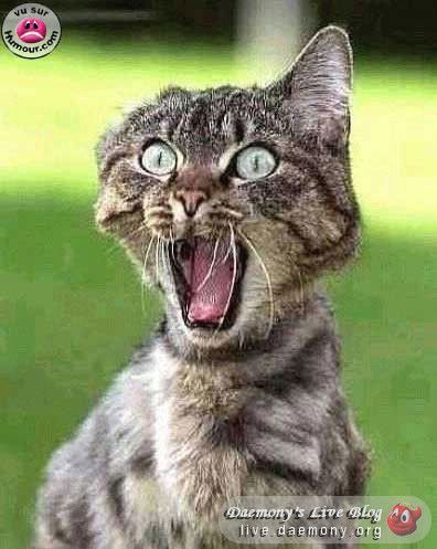 Лариса Исаак