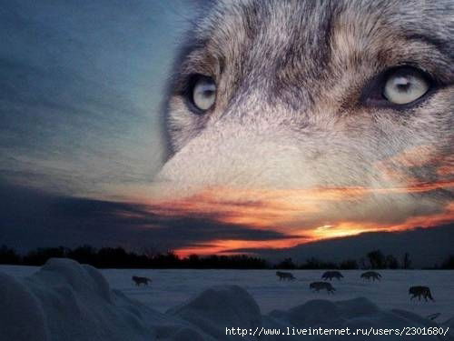 Ирина Пономарева