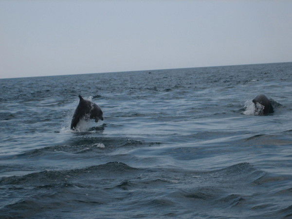 Людмила Копылова