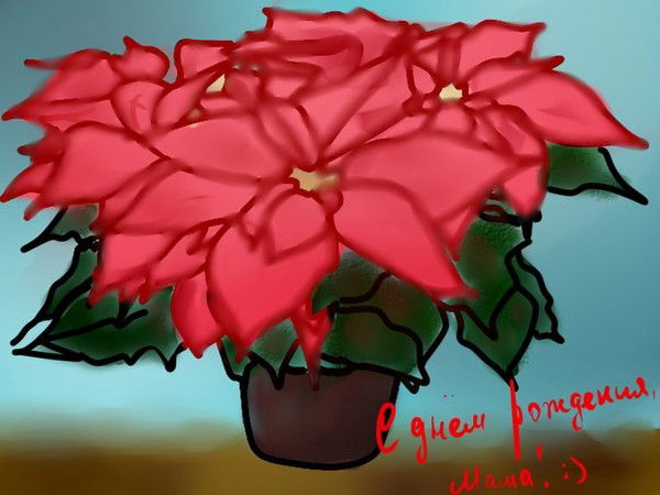 Эльвира Муллахметова