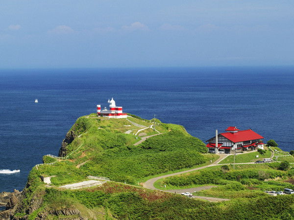 Марина Марина