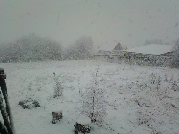 Наталья Лозовская