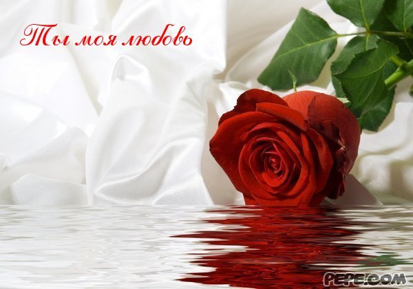 Айтолкын Ауганбаева