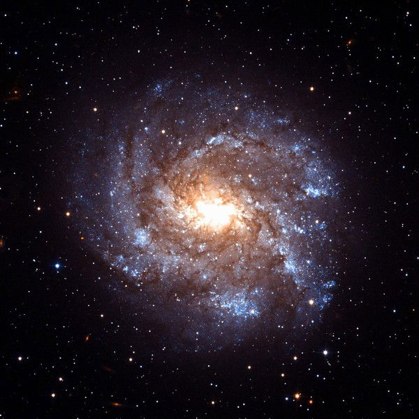 Виталий Моденов