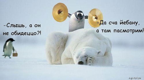 Артем Беспалов