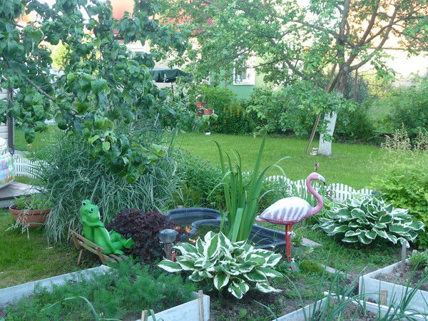 Евгения Царева