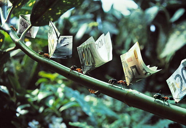 Александр Суворов