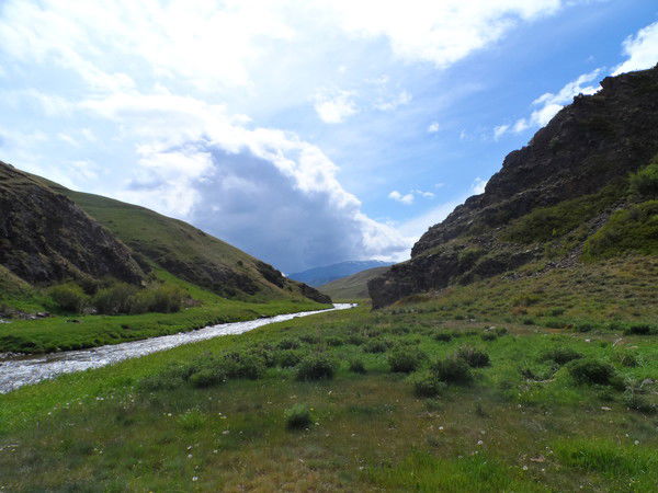 Олег Дармодехин