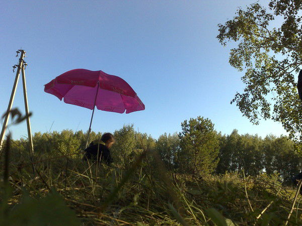 Гульнара Чернобаева