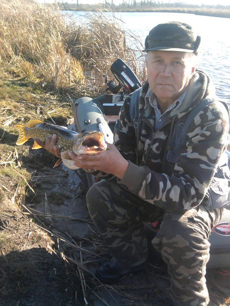 Валерий Поверенный