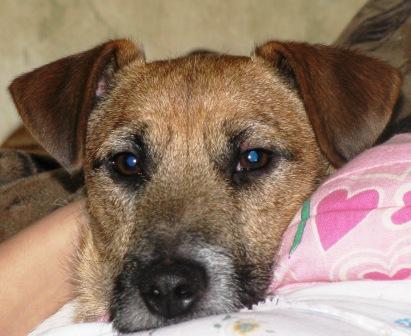 Елена Федяева