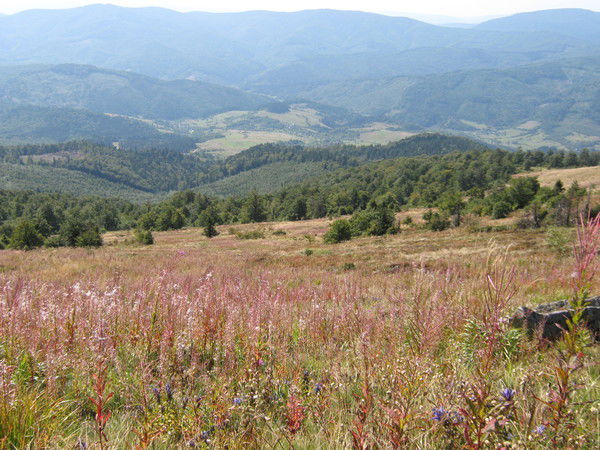 Оксана Бражник