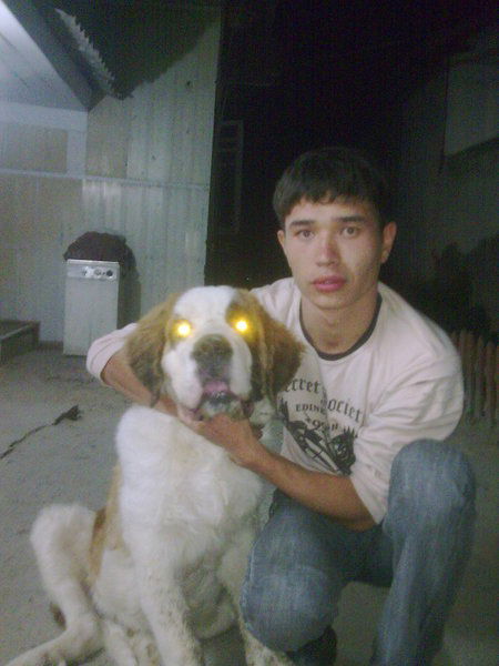 Дилмурод Муратов