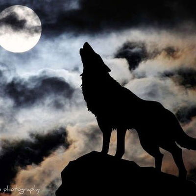 Элизабет Рэйдж