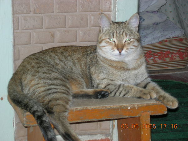 Наталия Кондратьева