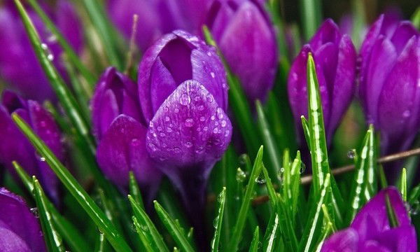 Наталья Кожевникова