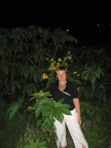 Анна Гончарова