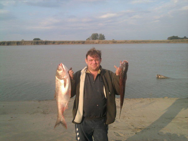 Александр Фирсов