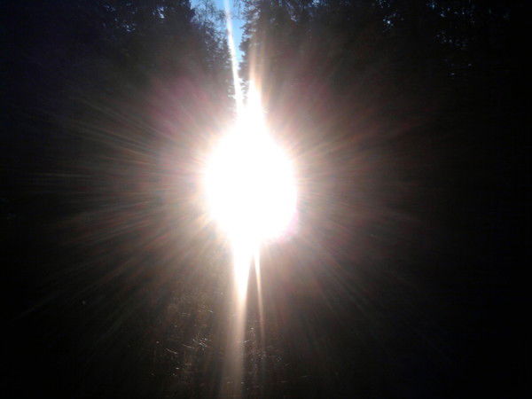 Марика Камар