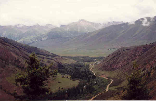 Gulnara Sultanalieva