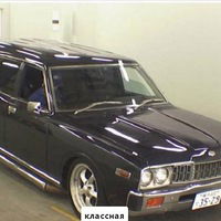 Коля Кривцов