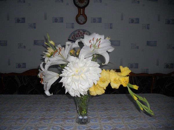 Эльвира *****