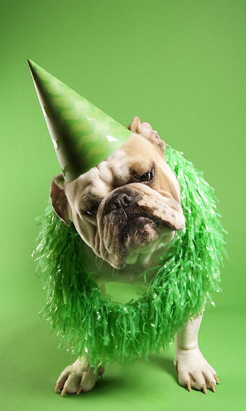 Михаил Андрейко