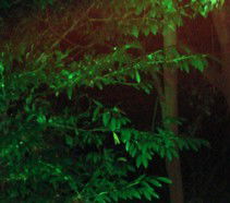 Оксана Брылякова