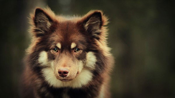 Анастасия Статовская