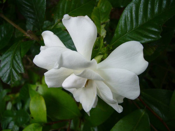 Наталья Шубкина