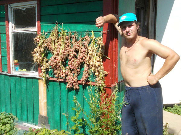 Торпедоносец Москвы