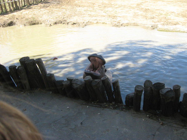 Владимир Захарченко