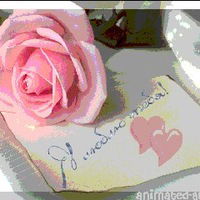 Анастасия Николаенко