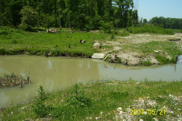 Чернова Татьяна