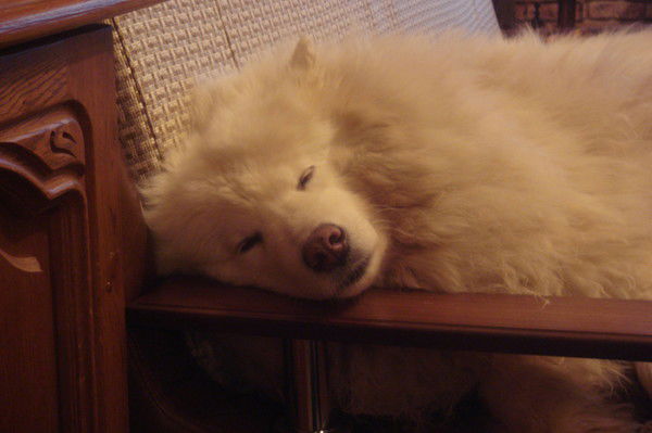 Андрей Иванов