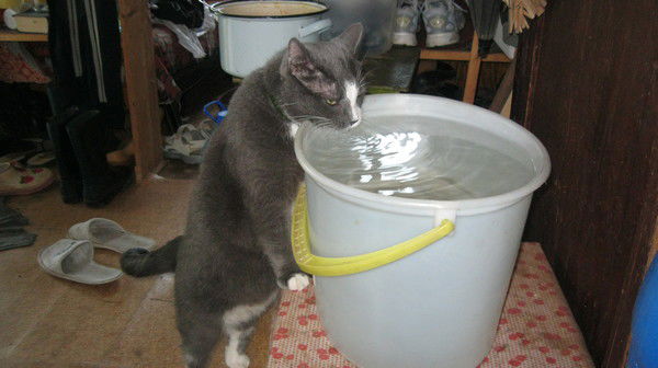 Катерина Северилова