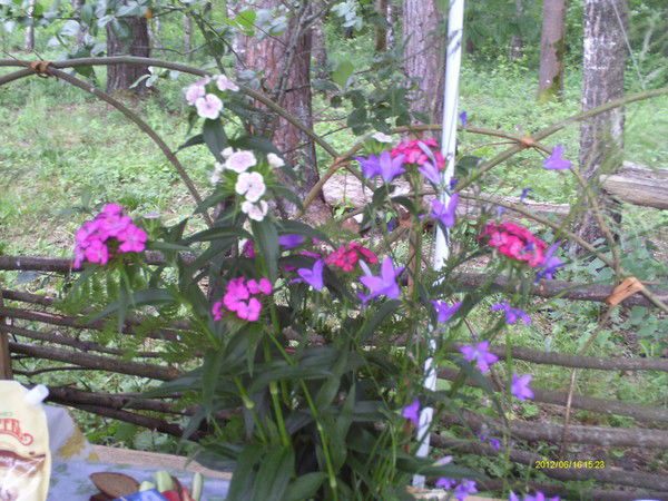 Валентина Старовойтова