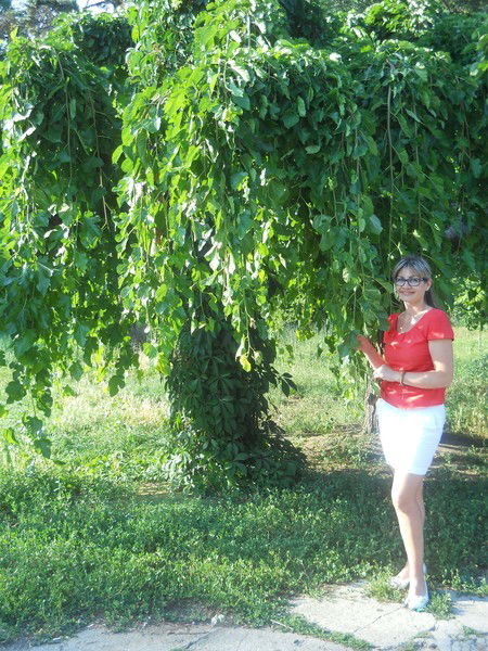 Анна Гришина